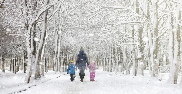 Zimowy park pod śniegiem. Burza śnieżna w parku miejskim. Park f — Zdjęcie stockowe