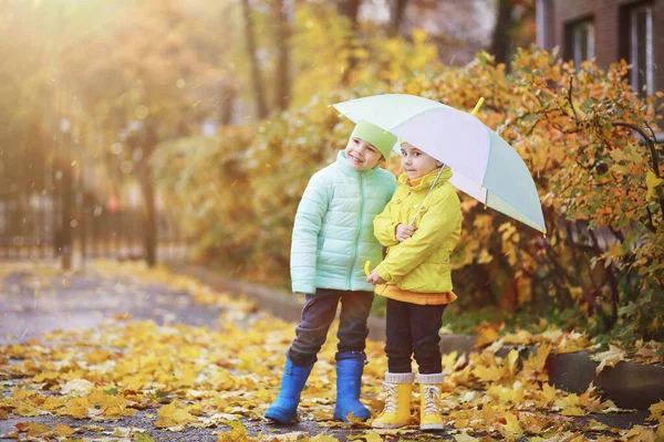 Passeggiata dei bambini nel parco autunnale — Foto Stock