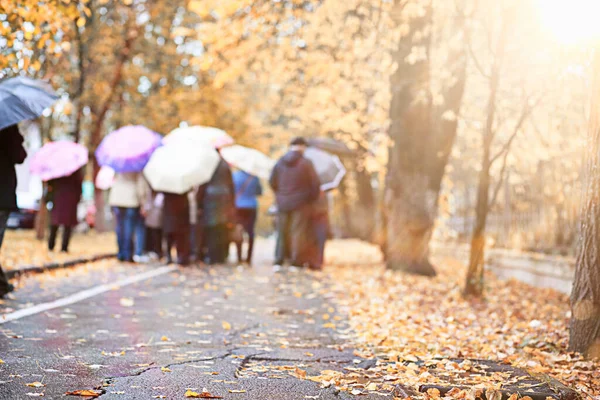 Pioggia autunnale nel parco — Foto Stock