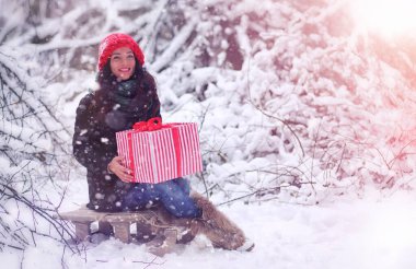 Bir kış masal, genç bir anne ve kızı bir kızak sürmek