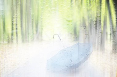 Yağmurlu bir günde sonbahar parkında yol üzerindeki şemsiyeyi bulanık görmek 