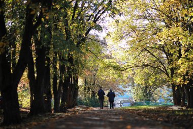 Parkta sonbahar arka plan