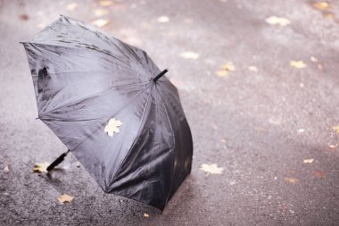 Ekim ayında sonbahar yağmurlu park