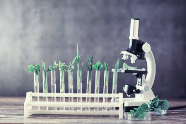 Mikroskop ve test bölümleri laboratuvardaki masanın üzerinde..