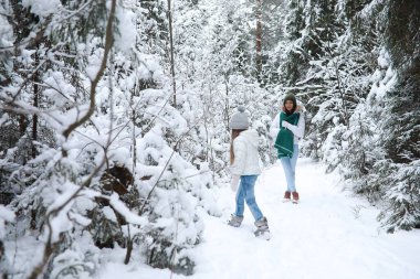 Genç bir aile yürüyüşe çıktı. Anne ve kızı şarapla yürüyorlar.