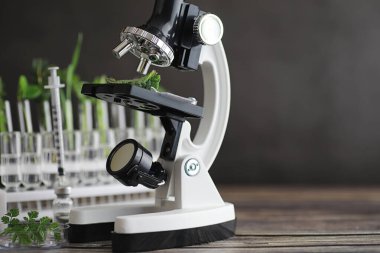 Mikroskop ve test bölümleri laboratuvardaki masanın üzerinde..