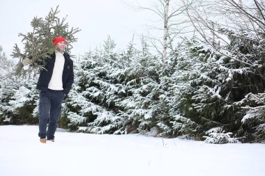 Sokakta kesilmiş bir Noel ağacı olan bir adam. N için Hazırlık
