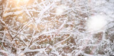 Winter Park 'ta. Karlı havada manzara manzarası. Ocak.