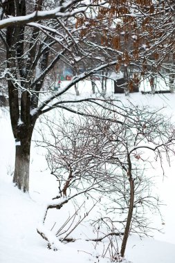 Kırsal alanların ve yolların kış manzarası