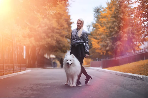 Härlig flicka på promenad med en vacker hund — Stockfoto