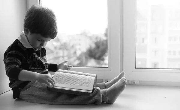 The little boy is reading a book. The child sits at the window a — Stock Photo, Image