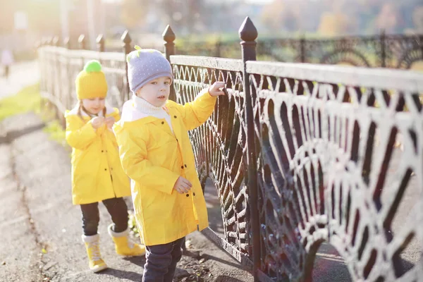 Діти гуляють в осінньому парку — стокове фото