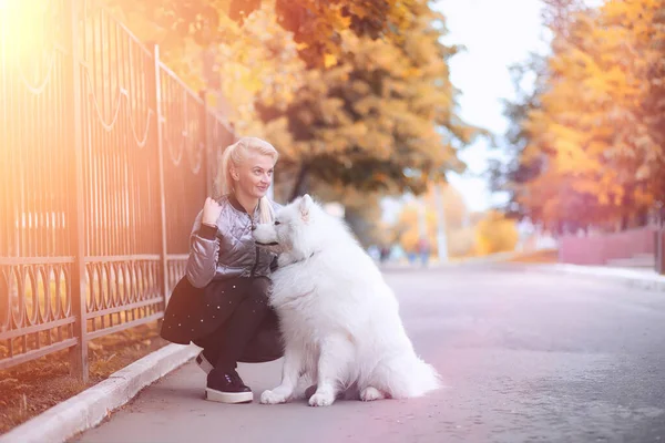 Härlig flicka på promenad med en vacker hund — Stockfoto