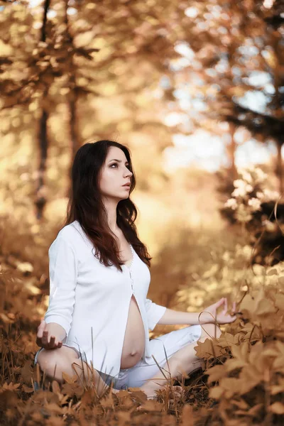 Schwangere Macht Herbst Yoga Übungen — Stockfoto