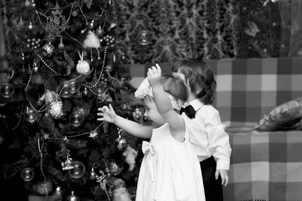 Little children near a Christmas — Stock Photo, Image