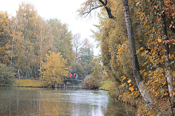 Lluvia de otoño en el parque — Foto de Stock