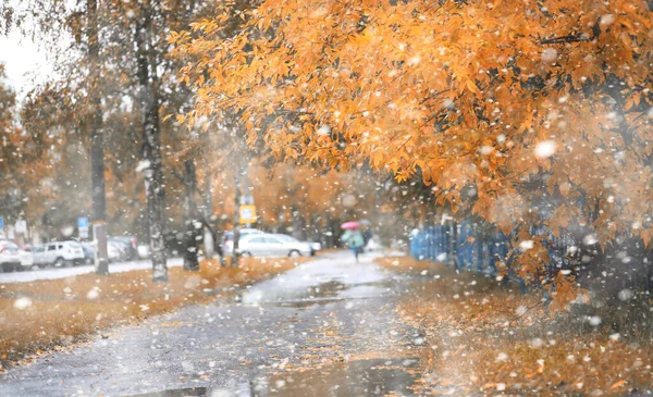 Осенний парк в первом снегу — стоковое фото
