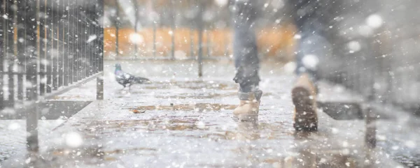 Bakgrunden hösten park i den första snön — Stockfoto