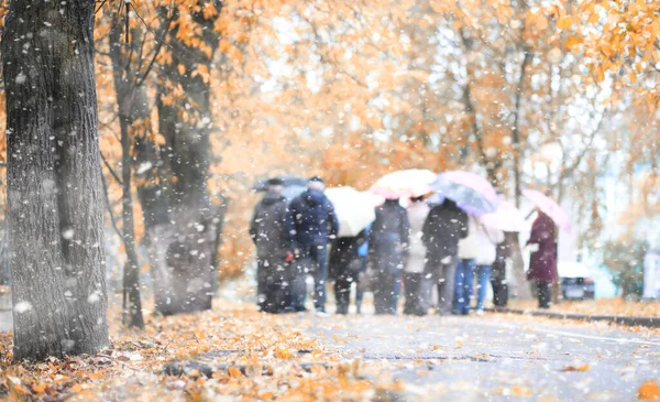 Podzimní park v prvním sněhu — Stock fotografie