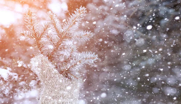 Paisaje invernal cubiertas de nieve. Un parque en el invierno en — Foto de Stock