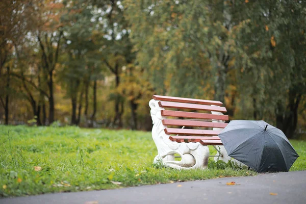 Fondo de otoño en el parque —  Fotos de Stock