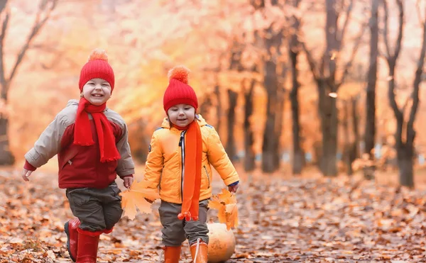 Kinder gehen in der Natur spazieren. Zwielichtige Kinder laufen herum — Stockfoto