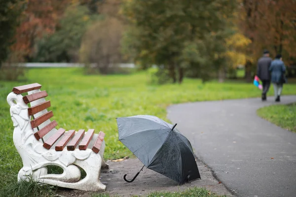 Fondo de otoño en el parque —  Fotos de Stock