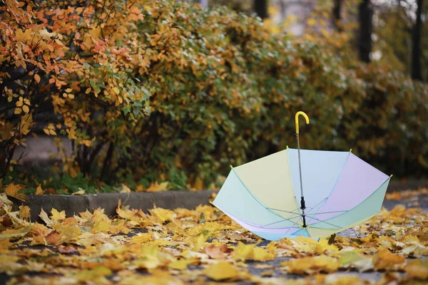 Dzieci chodzą na jesieni Park — Zdjęcie stockowe