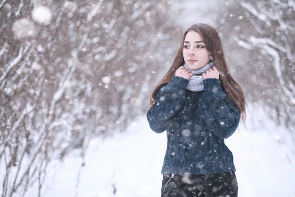 Ragazza in un parco invernale in nevicata — Foto Stock