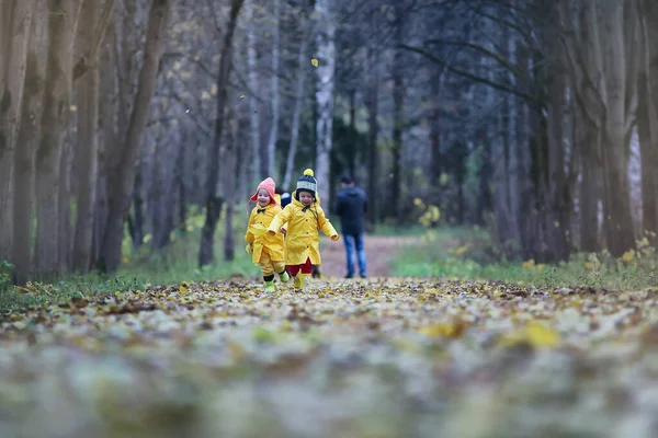 Los niños están caminando en el parque de otoño —  Fotos de Stock