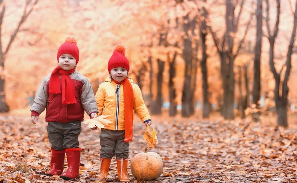 Les enfants marchent dans la nature. Les enfants du crépuscule se promènent — Photo