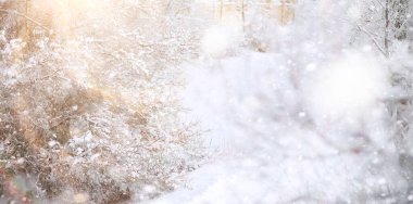 Winter Park 'ta. Karlı havada manzara manzarası. Ocak.