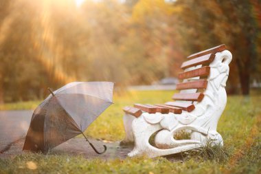 Parkta sonbahar arka plan