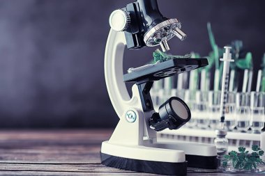 Mikroskop ve test bölümleri laboratuvardaki masanın üzerinde..