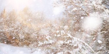 Winter Park 'ta. Karlı havada manzara manzarası. Ocak.