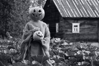 Kafası kabaktan oyulmuş.