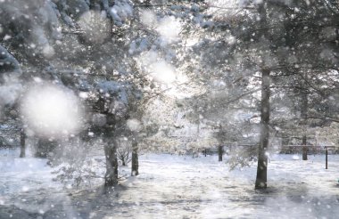 Winter Park 'ta. Karlı havada manzara manzarası. Ocak.