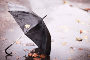 Ekim ayında sonbahar yağmurlu park