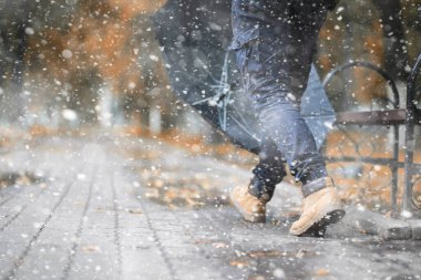 İlk karda sonbahar parkı