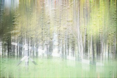 Park arka plan Sonbahar yağmur