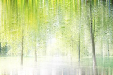 Yağmurlu bir günde sonbahar parkının bulanık görüntüsü 