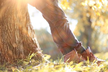 Parkta sonbahar arka plan