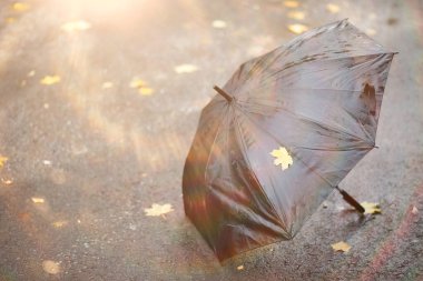 Parkta sonbahar arka plan