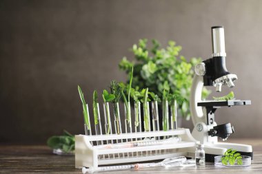 Mikroskop ve test bölümleri laboratuvardaki masanın üzerinde..