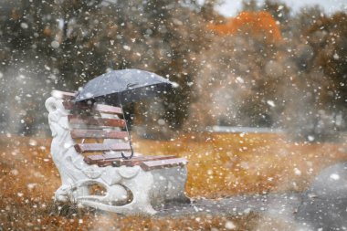 İlk karda sonbahar parkı