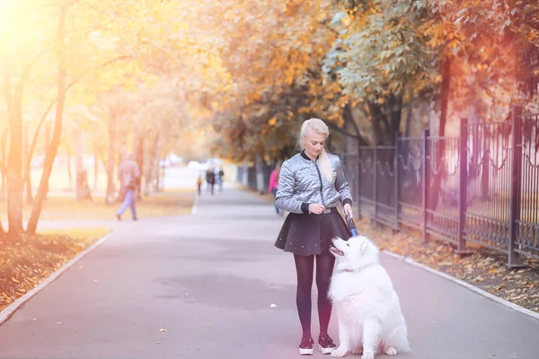 Menina encantadora em um passeio com um belo cão — Fotografia de Stock