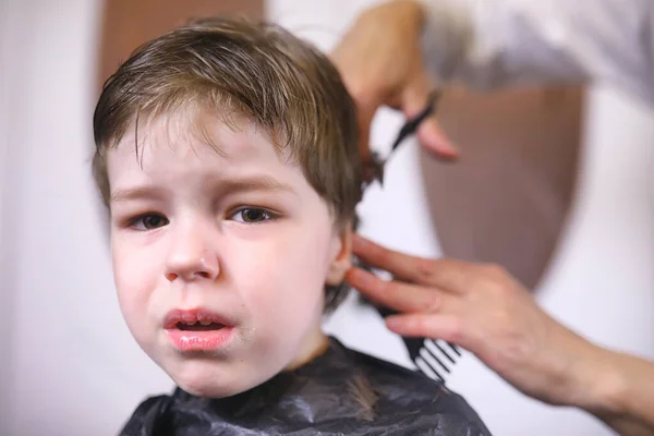 Hairdresser and boy. The boy is doing his hair. Cut hair child i