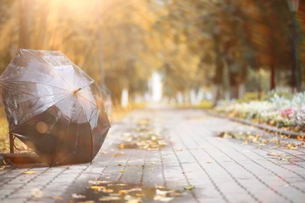 Sfondo autunnale nel parco — Foto Stock