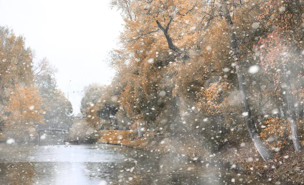 Őszi park az első hóban — Stock Fotó