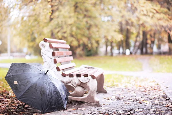 Autunno parco pluviale nel mese di ottobre — Foto Stock